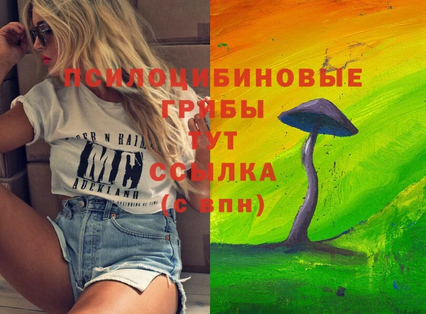 гашиш Гусь-Хрустальный