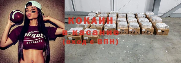 круглые Гусев