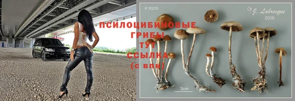 круглые Гусев