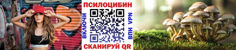 мега онион  Братск  Псилоцибиновые грибы Magic Shrooms 